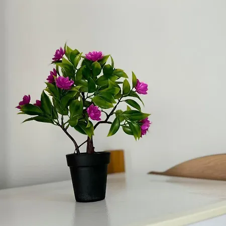 Amel's Comfortable Family Near Apartamento Orikum