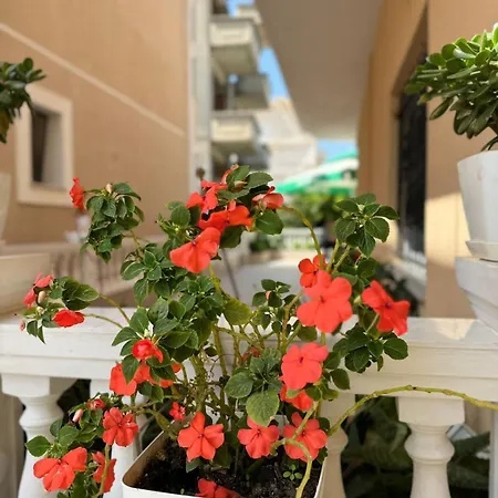 Apartment Amel's Vlore