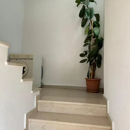 Apartment Amel's