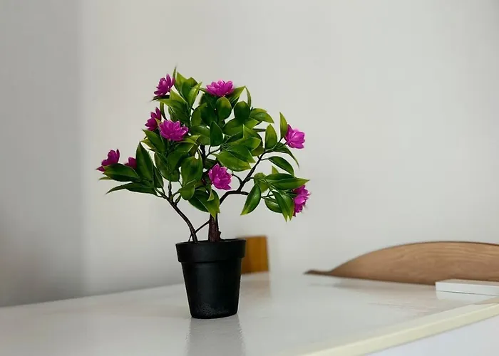 Amel's Comfortable Family Near 아파트 오리쿰